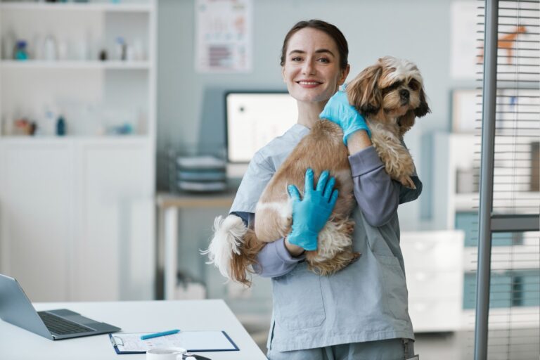 VetCircle How to Increase Revenue in Your Canadian Veterinary Practice A Strategic Guide for Practice Owners