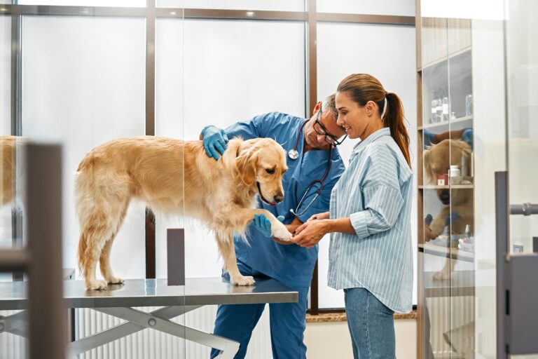 VetCircle Veterinary Practice Benchmarking Key Metrics Every Canadian Vet Clinic Owner Should Track