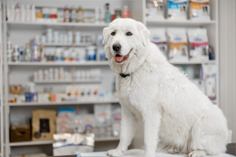 VetCircle Veterinary Inventory Management in Canada - A Complete Guide for Independent Practice Owners (1)