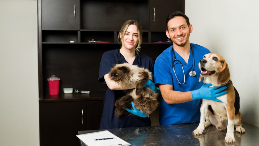 VetCircle - Veterinary Staffing How to Hire, Train, and Keep Your Team
